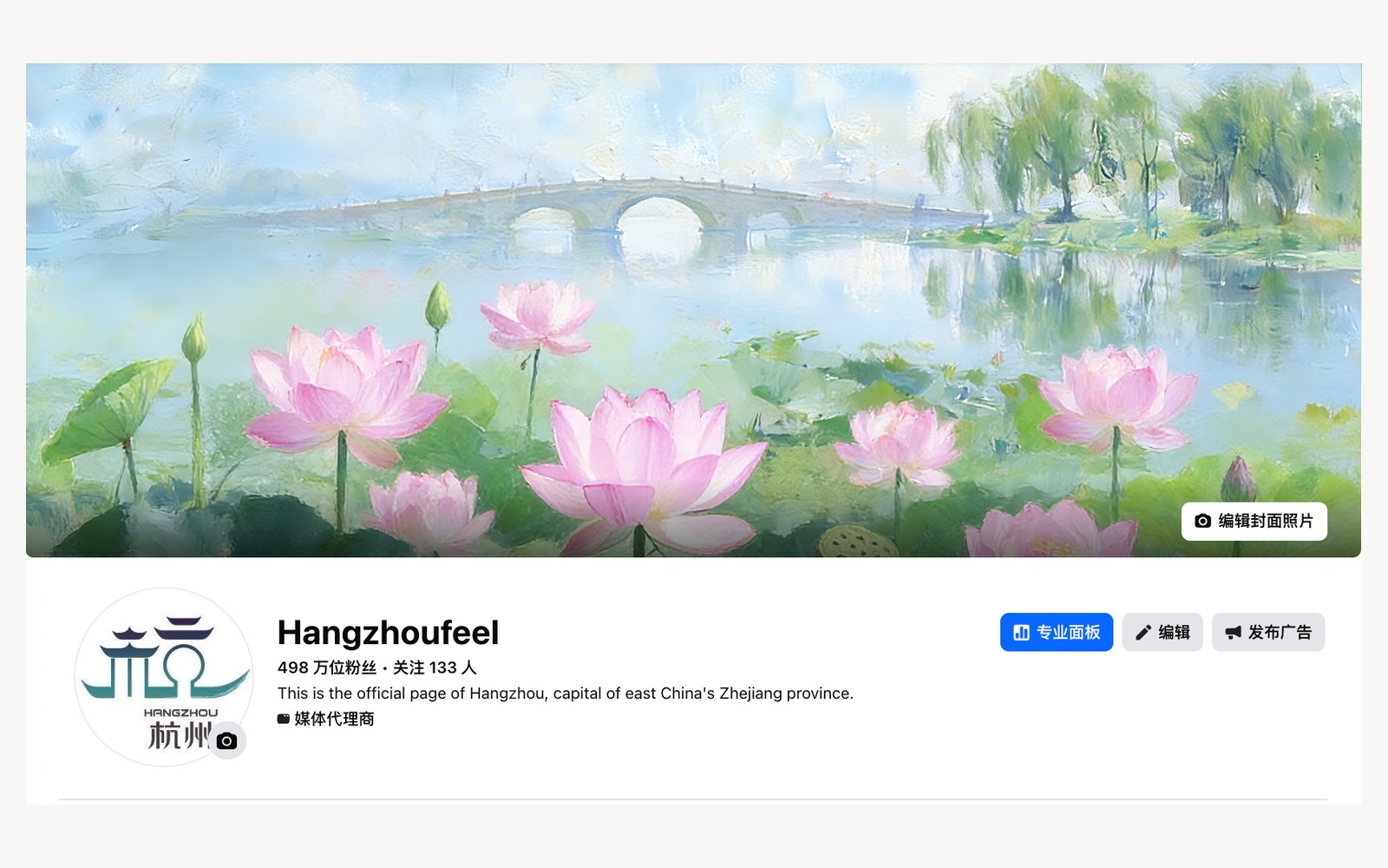 Hangzhoufeel Global Social Media Matrix project visual